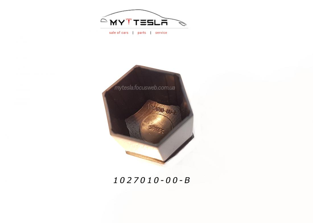 Купити Ковпачок колісної гайки (BLACK) до Tesla | 1027010-00-B